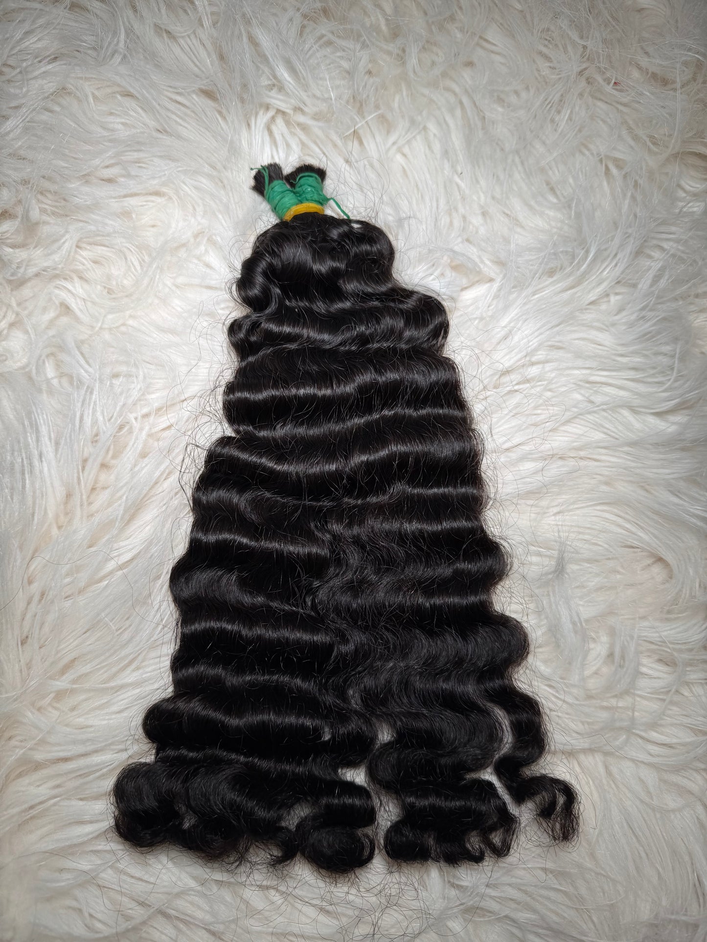 Burmese Bulk